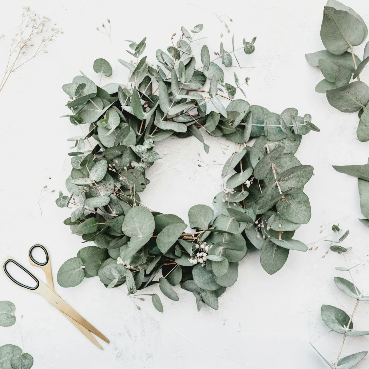 Couronne d'eucalyptus — 1